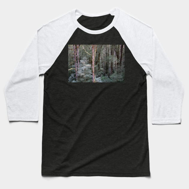 Tall, bare tree trunks. Baseball T-Shirt by sma1050